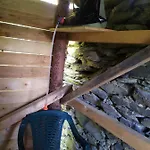 Maringotka Na Jamajce